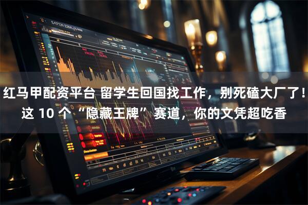 红马甲配资平台 留学生回国找工作，别死磕大厂了！这 10 个 “隐藏王牌” 赛道，你的文凭超吃香