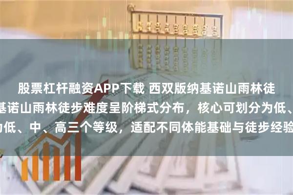 股票杠杆融资APP下载 西双版纳基诺山雨林徒步难度如何？西双版纳基诺山雨林徒步难度呈阶梯式分布，核心可划分为低、中、高三个等级，适配不同体能基础与徒步经验人群：低难度路线（3