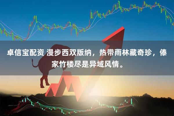 卓信宝配资 漫步西双版纳，热带雨林藏奇珍，傣家竹楼尽是异域风情。