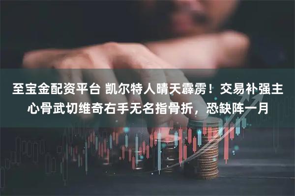 至宝金配资平台 凯尔特人晴天霹雳！交易补强主心骨武切维奇右手无名指骨折，恐缺阵一月