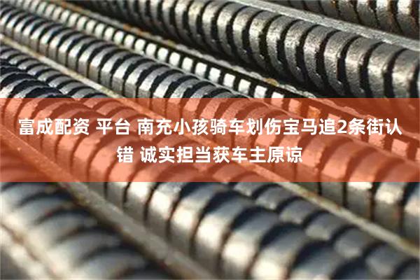 富成配资 平台 南充小孩骑车划伤宝马追2条街认错 诚实担当获车主原谅